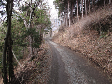20160204hike (18)